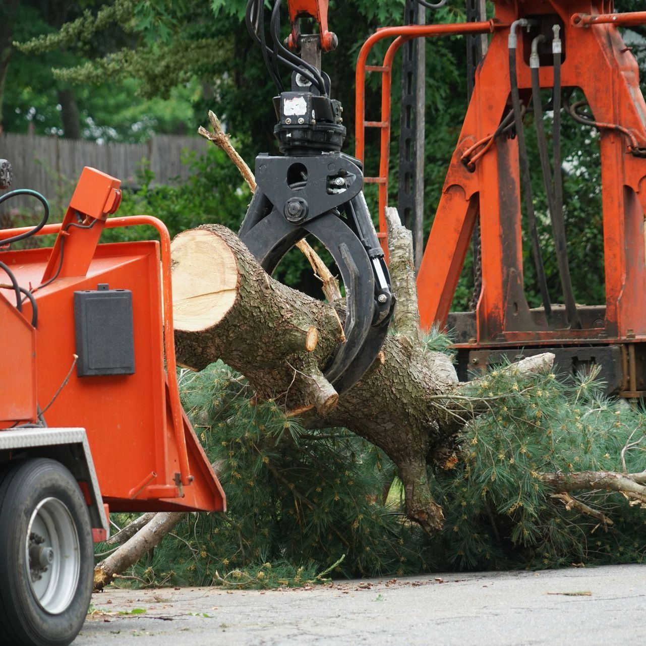 A large tree trunk is being lifted by a crane