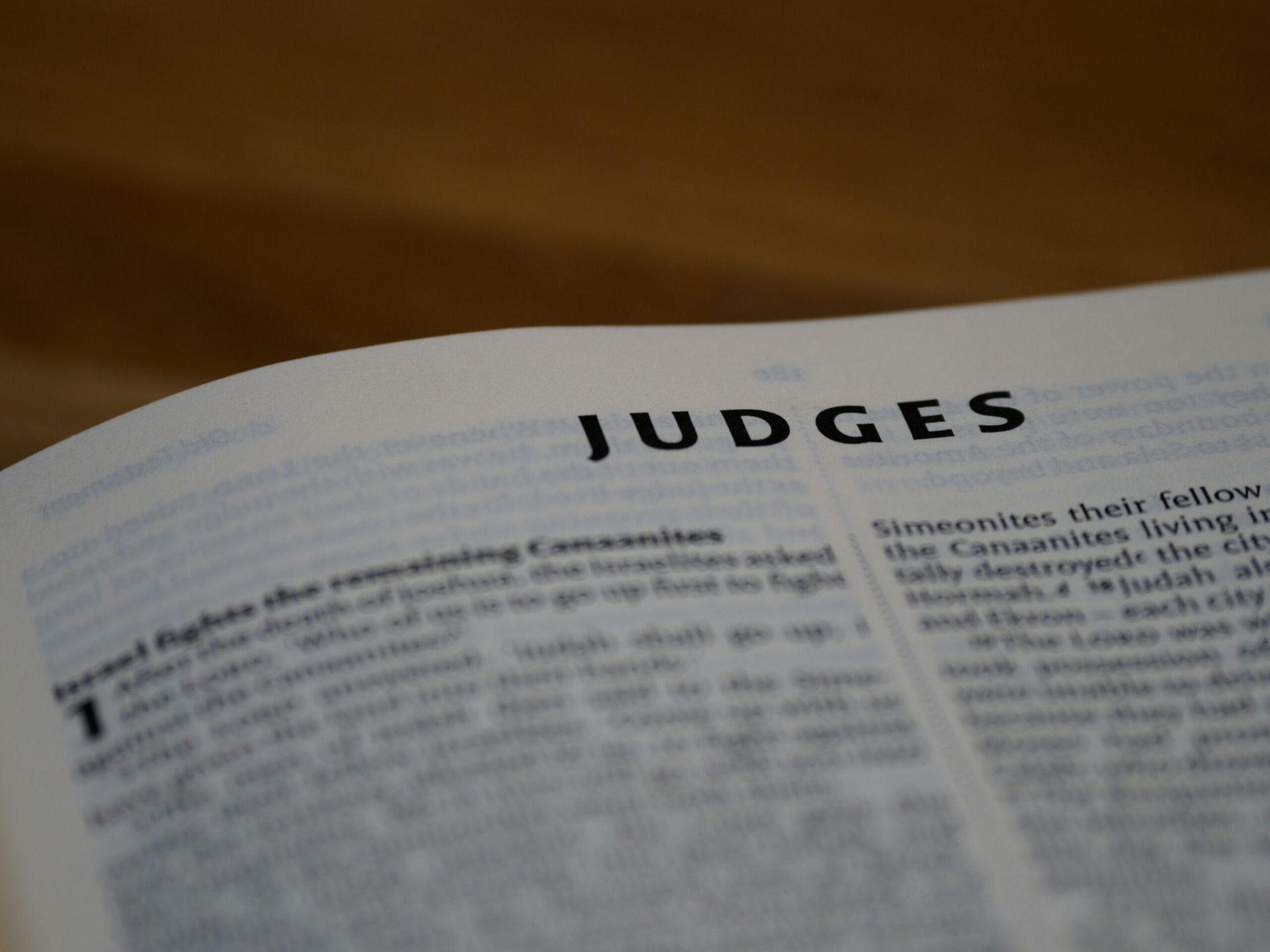Close-up of an open Bible showing the word 
