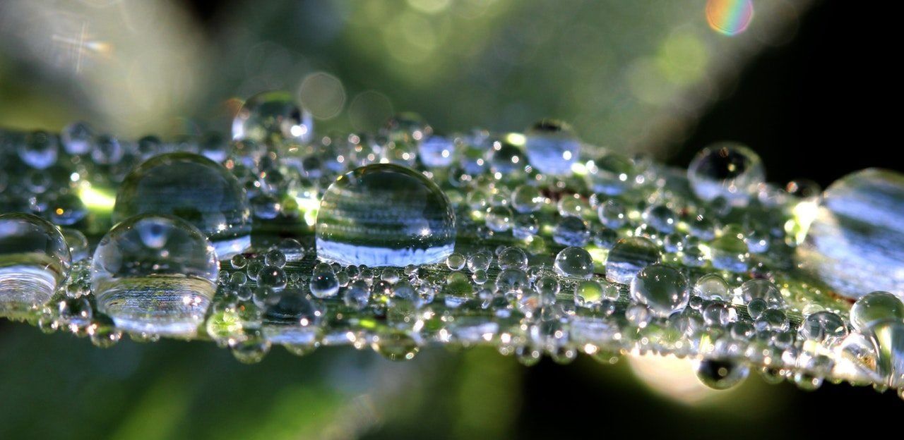 droplets of water reflecting the sun light