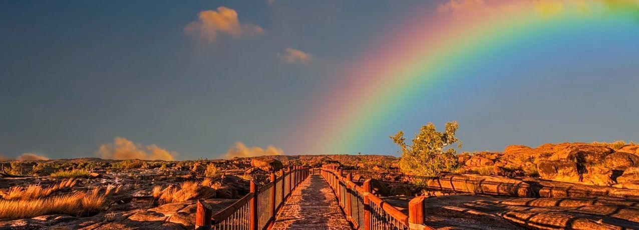 desert rainbow