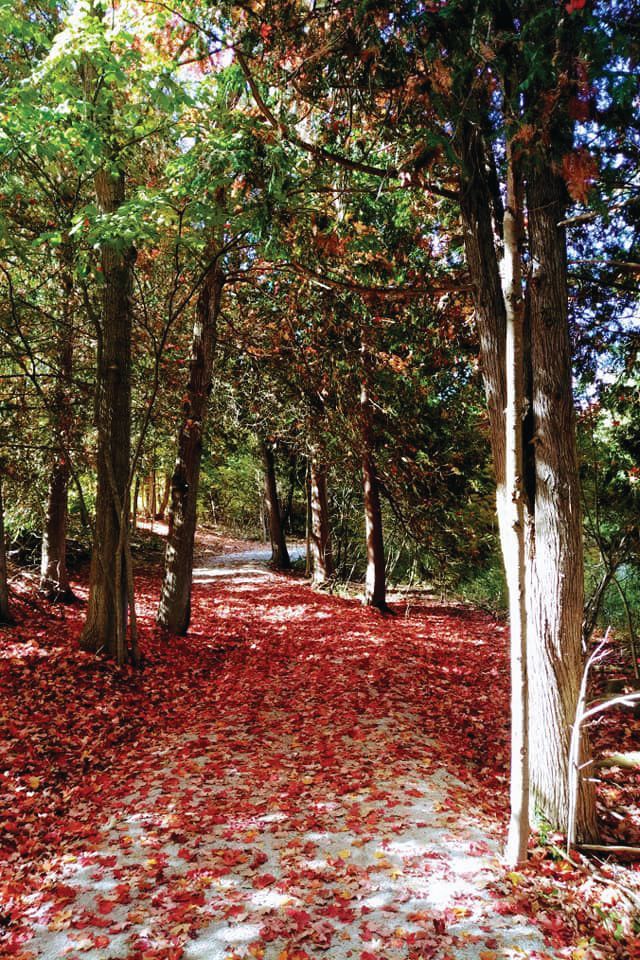 Rotary Park Markdale