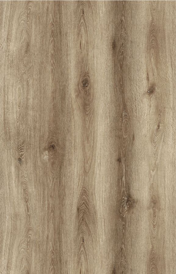 A close up of a piece of wood showing the grain and texture.