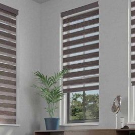 A room with two windows and a plant in a pot.