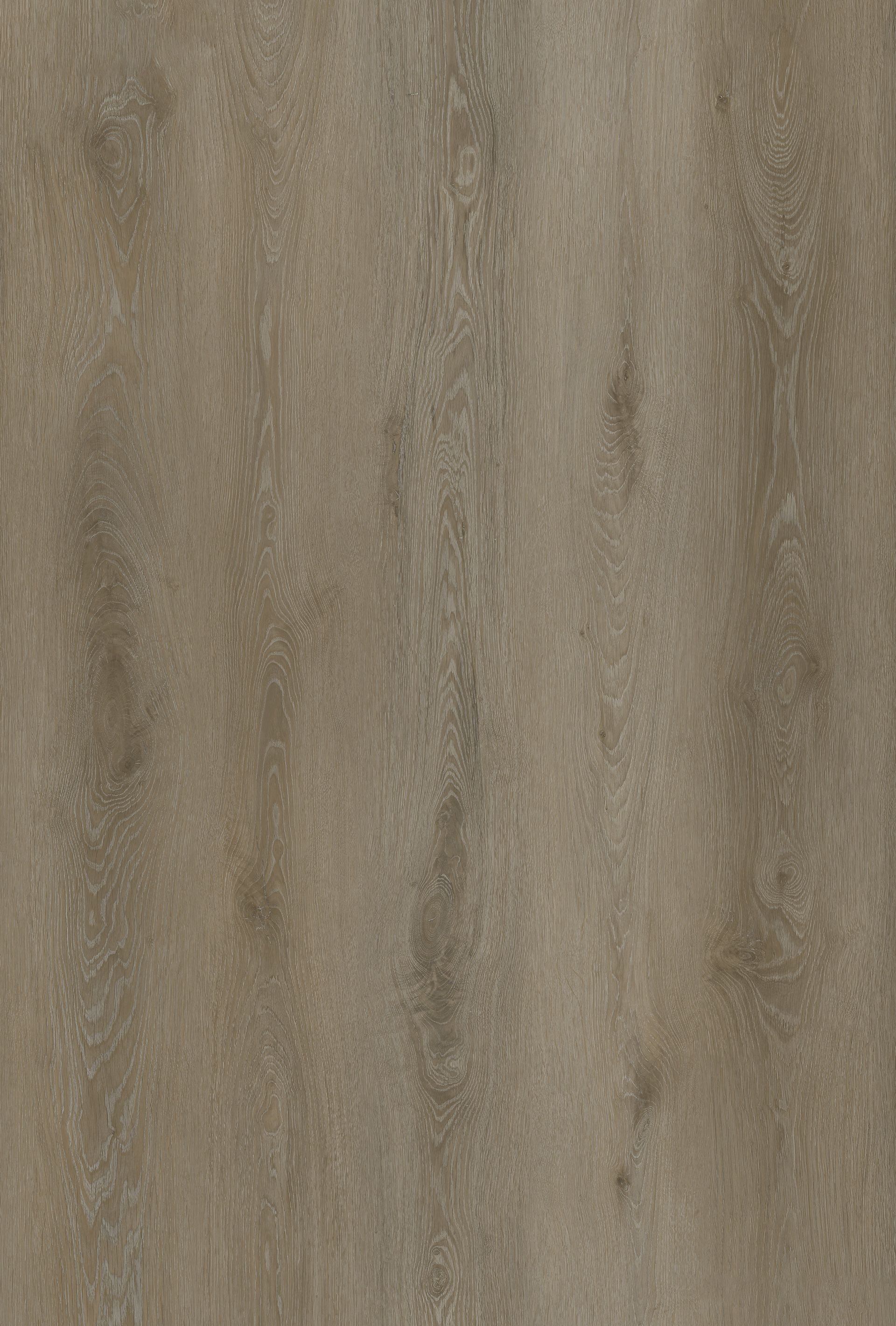 A close up of a piece of wood with a grainy texture.