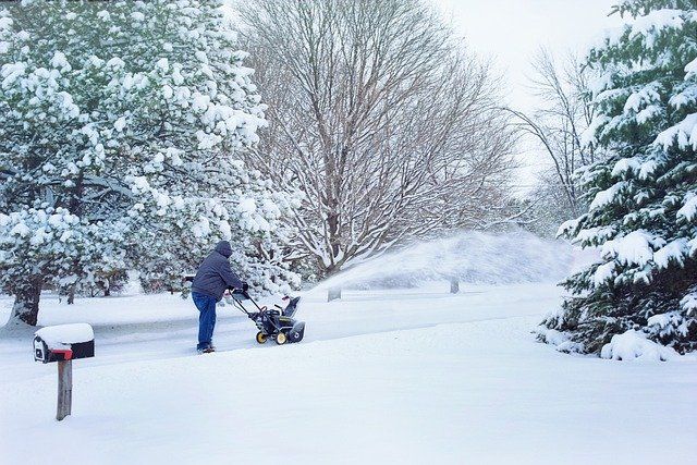 A person uses a snowblower to clear snow from a driveway surrounded by snow-covered trees.