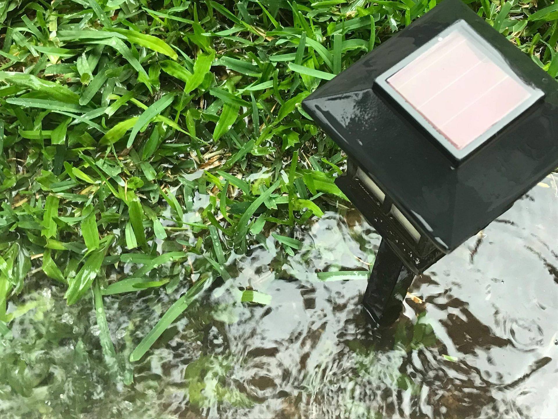 Solar-powered garden light in wet grass; water reflecting the sky.
