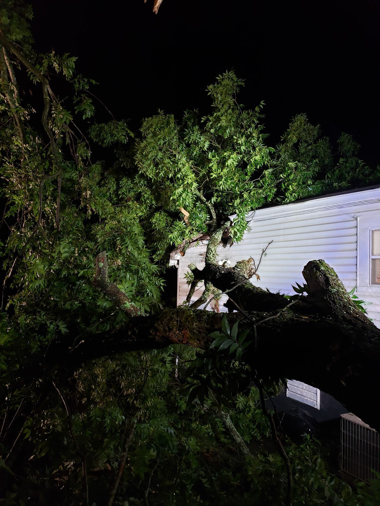 Tree limb fallen on a house at night. Green leaves, white siding, dark sky.