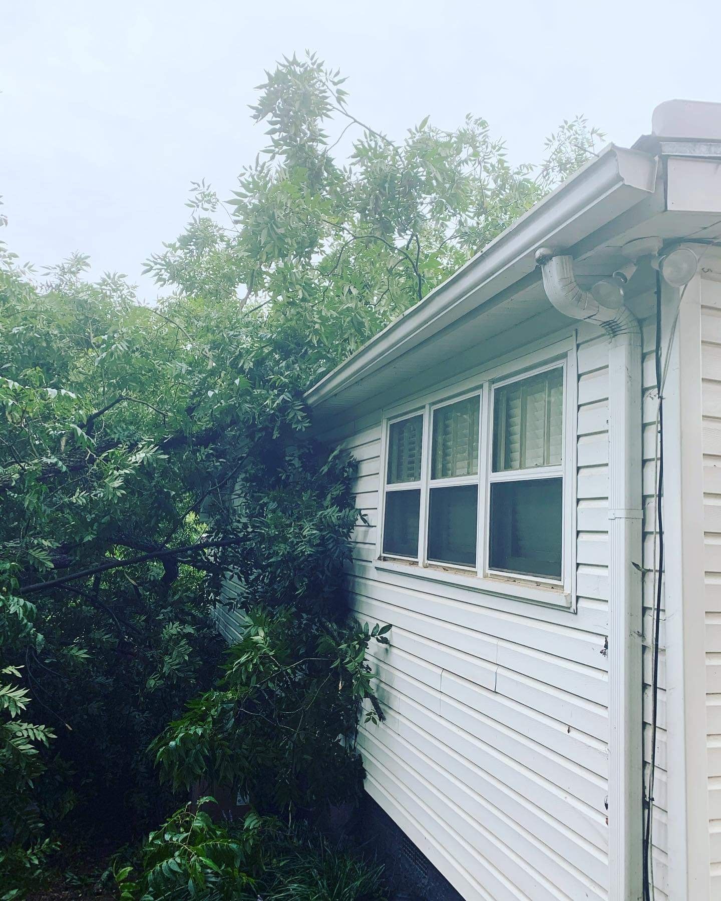 White house exterior with overgrown greenery, overcast sky.