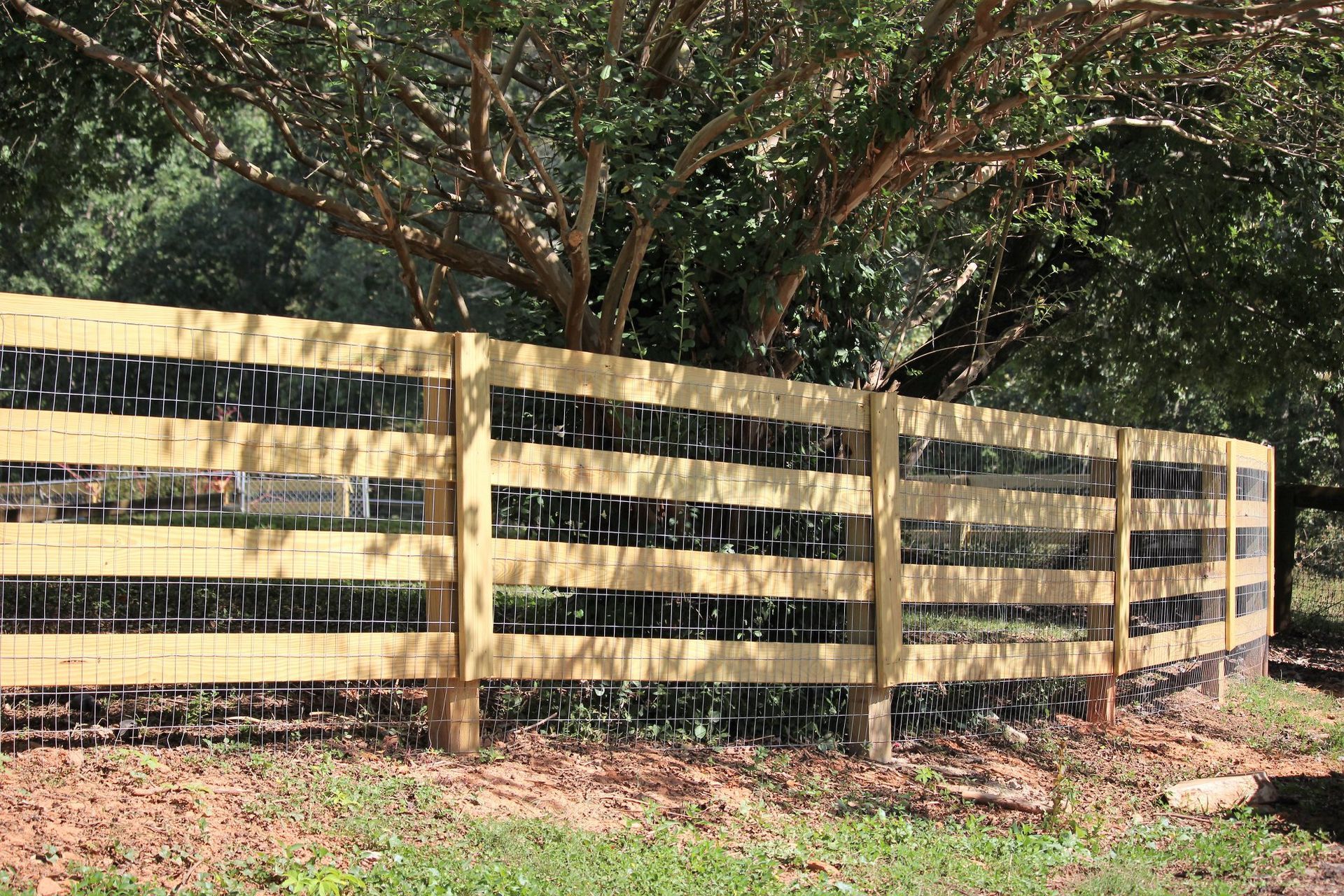 Wooden fence with wire mesh in a grassy area near a tree.
