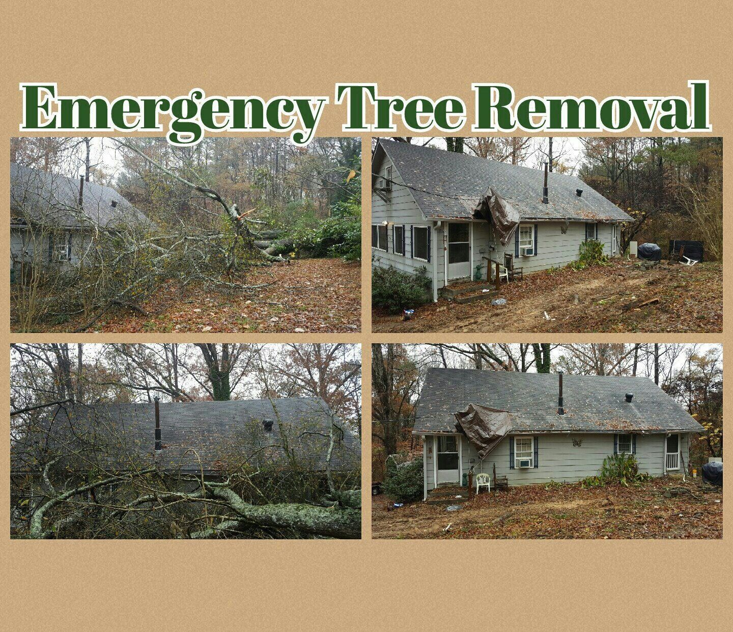 Emergency tree removal collage: damaged house with fallen tree branches.