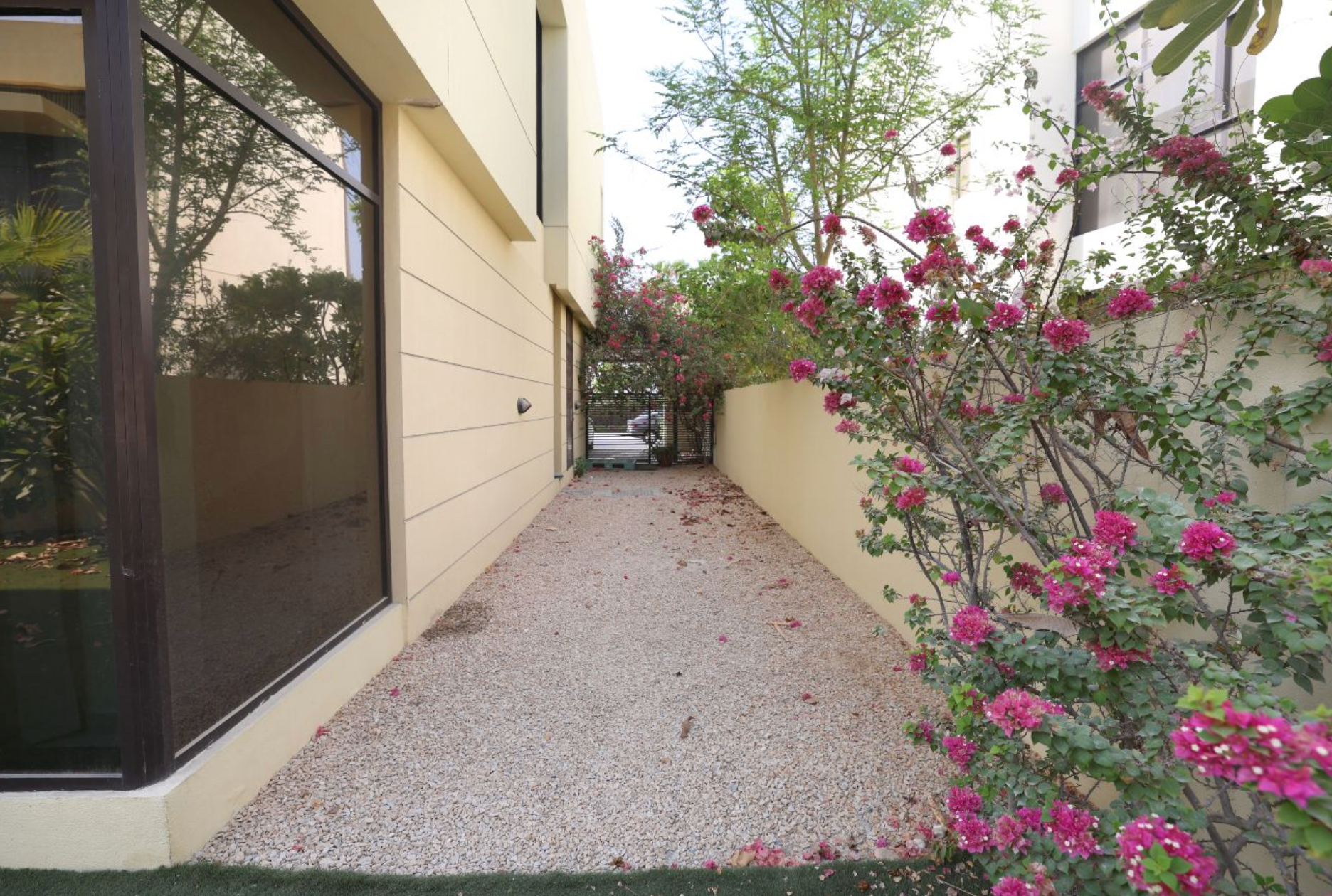 Narrow gravel path between two buildings, with flowering pink bushes on the right.