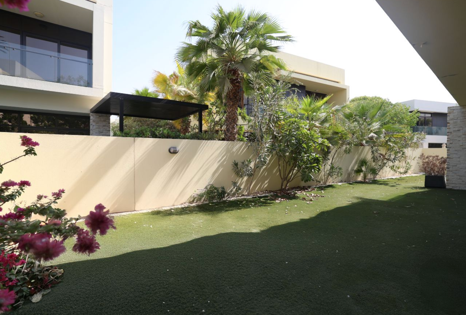 Lush green lawn with a palm tree, beige wall, and modern buildings. Sunny outdoor scene.