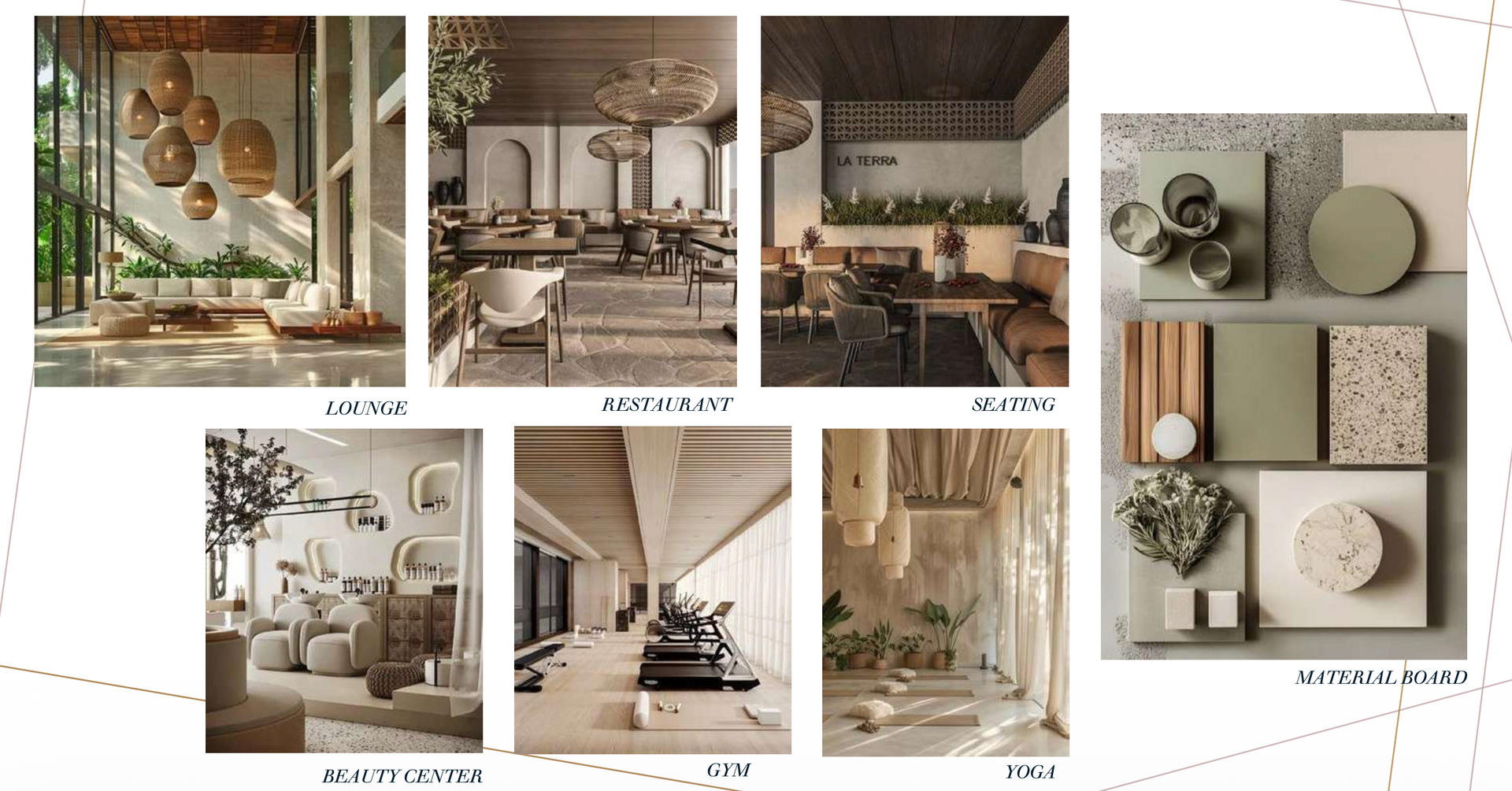 Mood board featuring interior design concepts with neutral colors, plants, and textures.