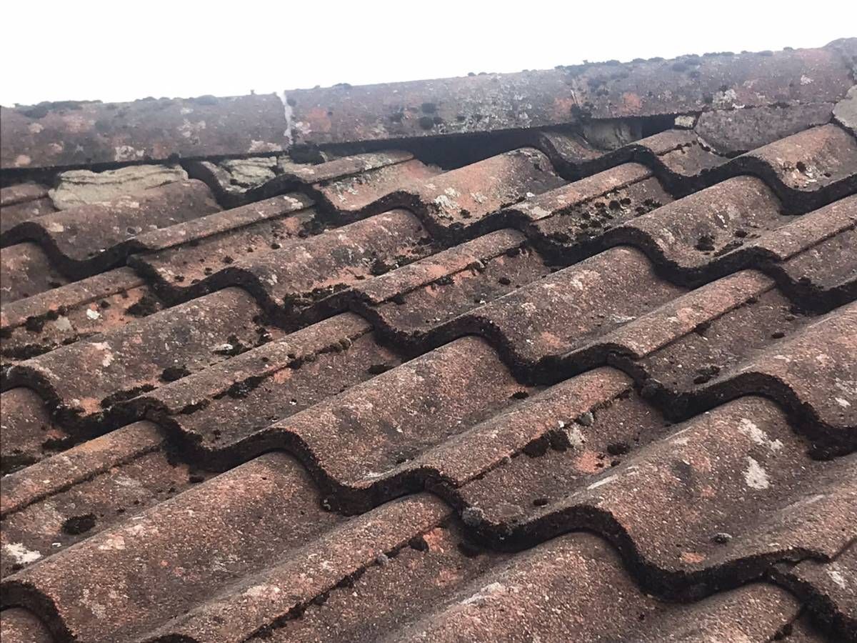 Roofers Kilmarnock before roof repairs on a hipped roof ridge in Howard Park Kilmarnock