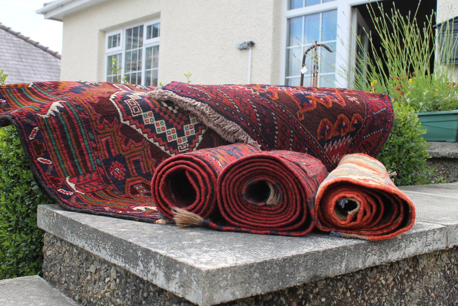 Afghan Rugs