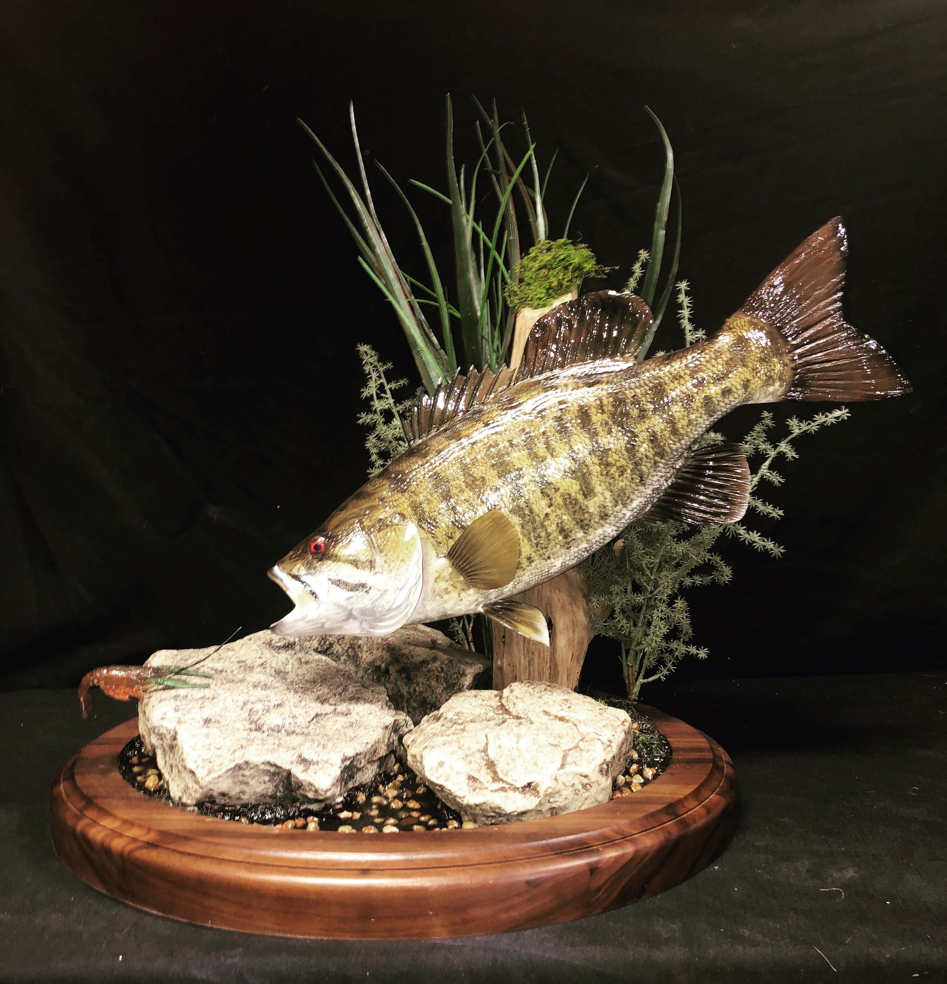 A large fish is sitting on top of a wooden base.