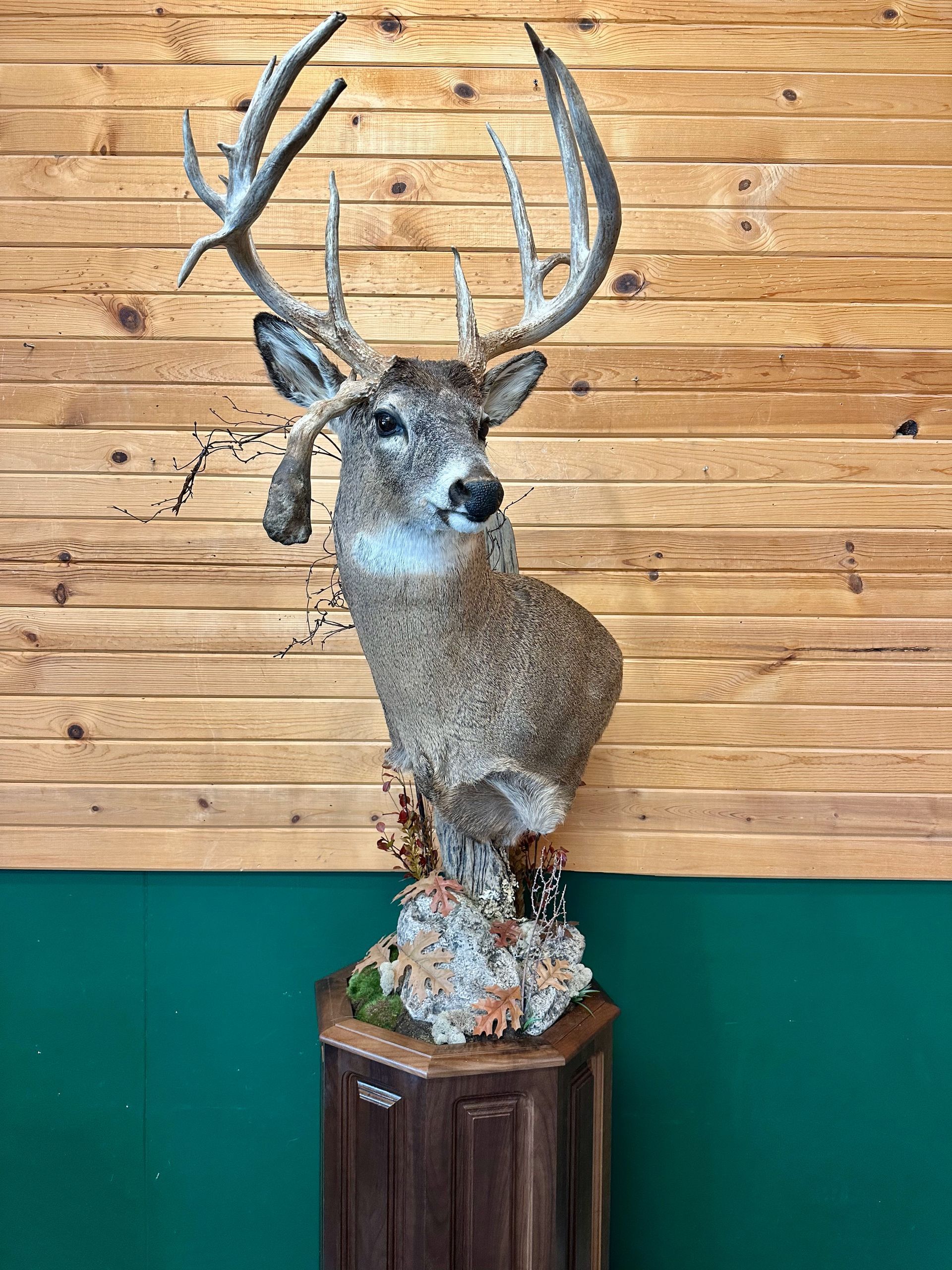 A stuffed deer is sitting on a wooden pedestal in front of a wooden wall.