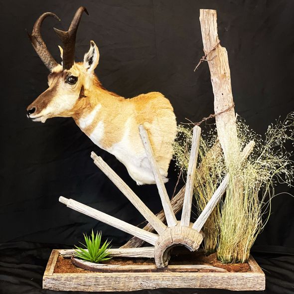 A stuffed deer is sitting on top of a wooden stand.