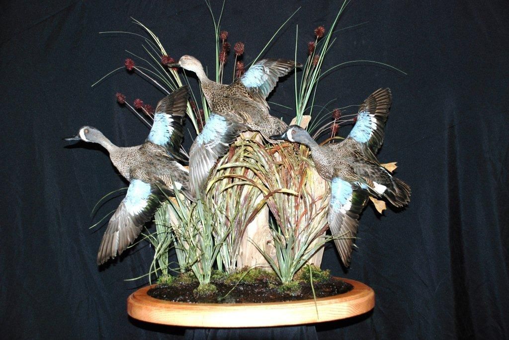 Stuffed birds are sitting on a wooden tray