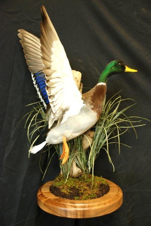 A stuffed duck is sitting on a wooden base