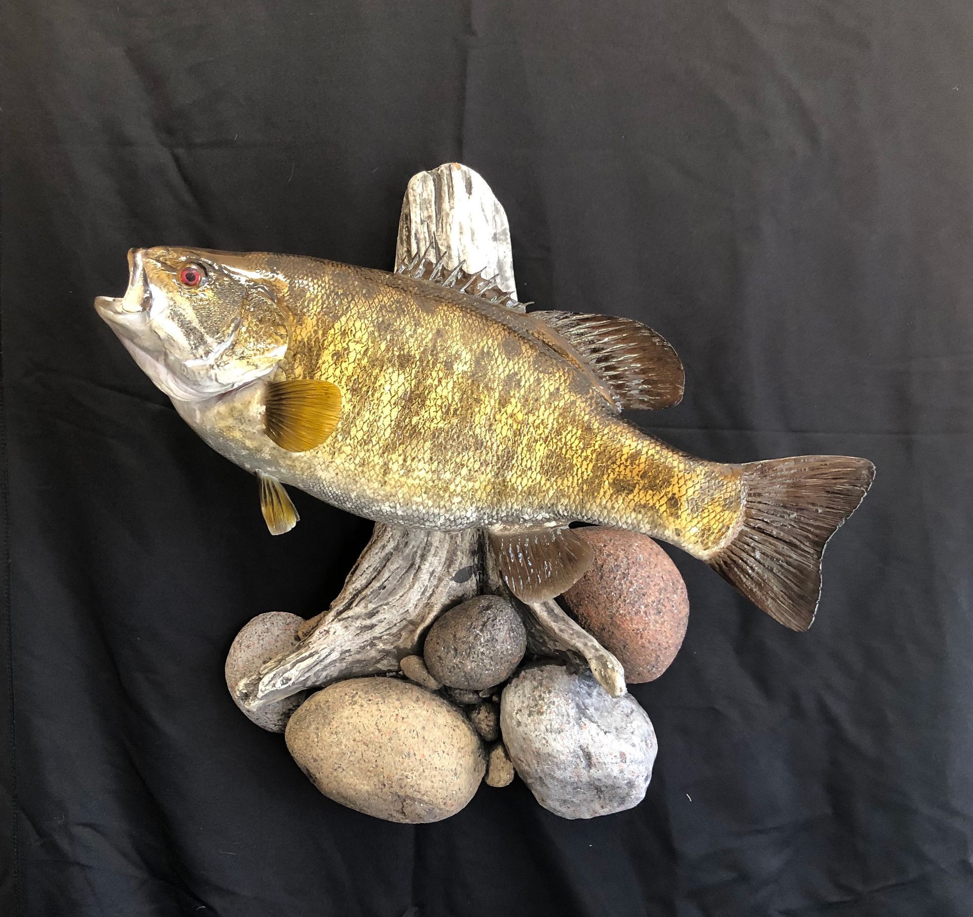 A fish is sitting on top of a pile of rocks.