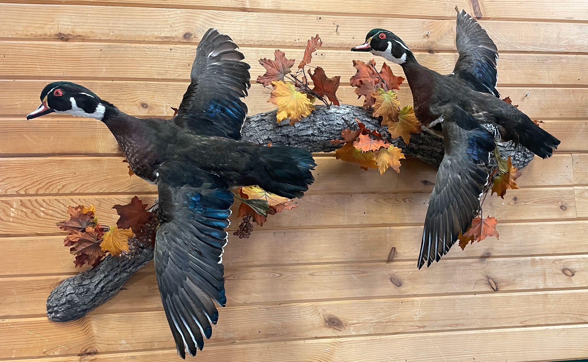 Two ducks are flying over a wooden wall