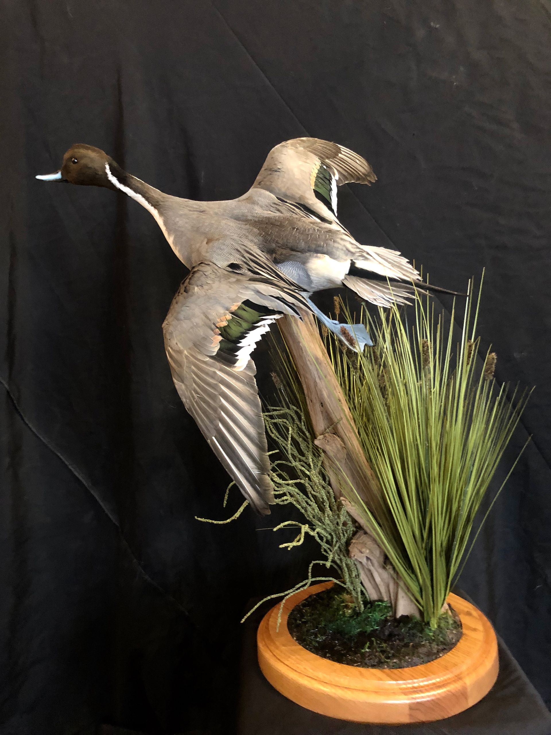 A statue of two ducks flying in the air