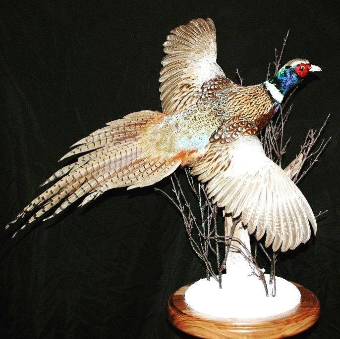 A statue of a pheasant with its wings outstretched