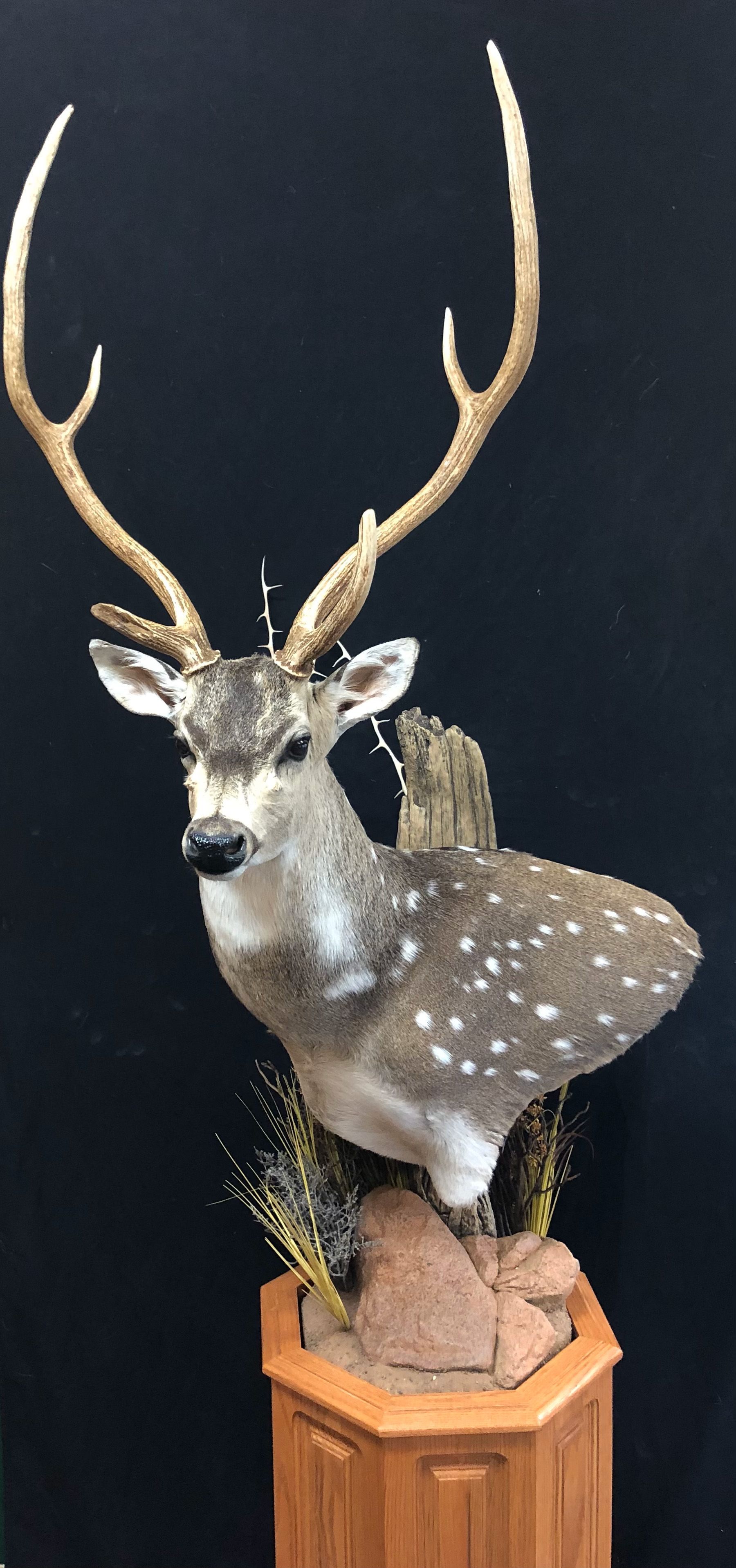 A stuffed deer is sitting on top of a wooden pedestal.