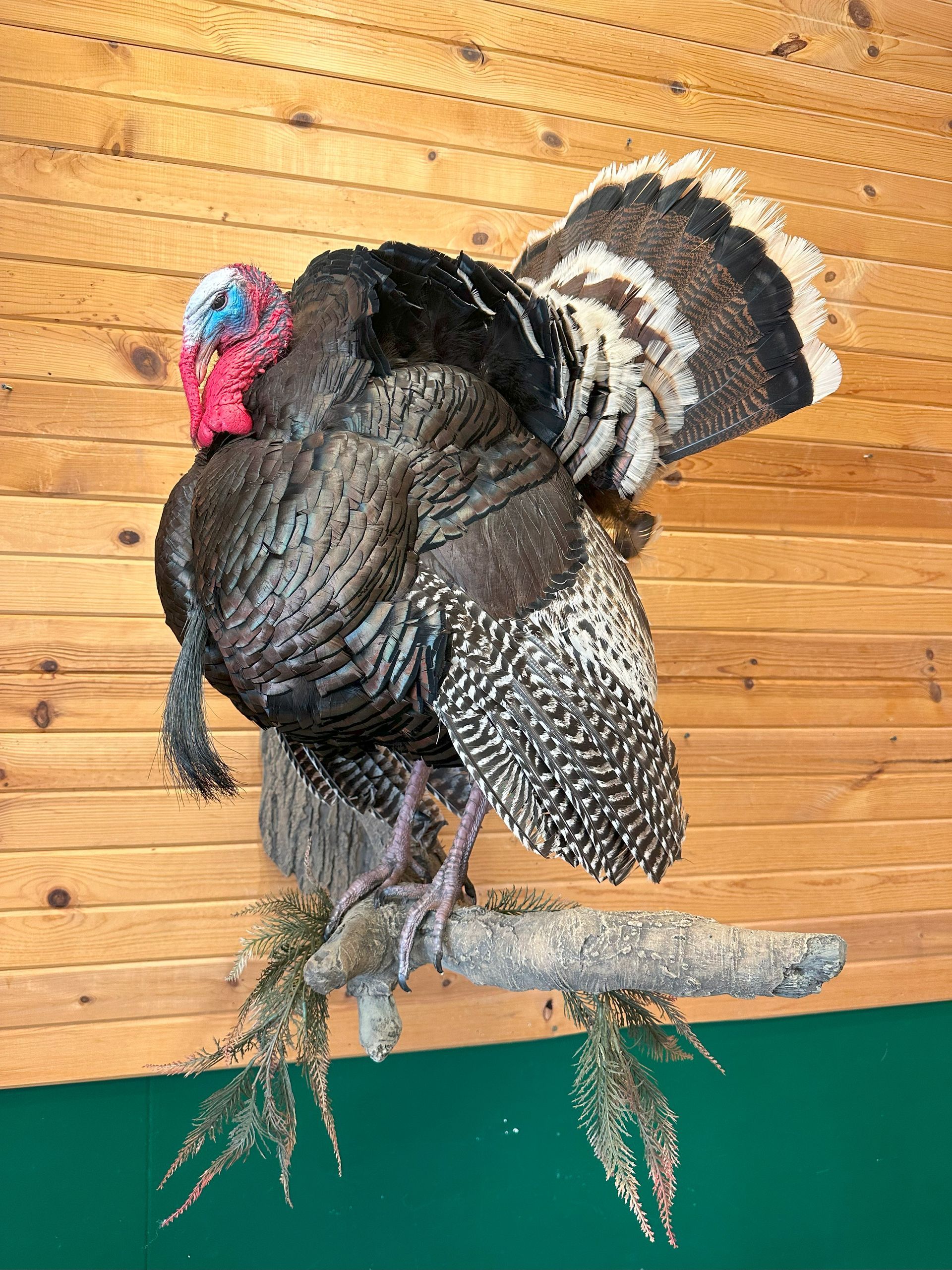 A stuffed turkey is sitting on a branch in front of a wooden wall.
