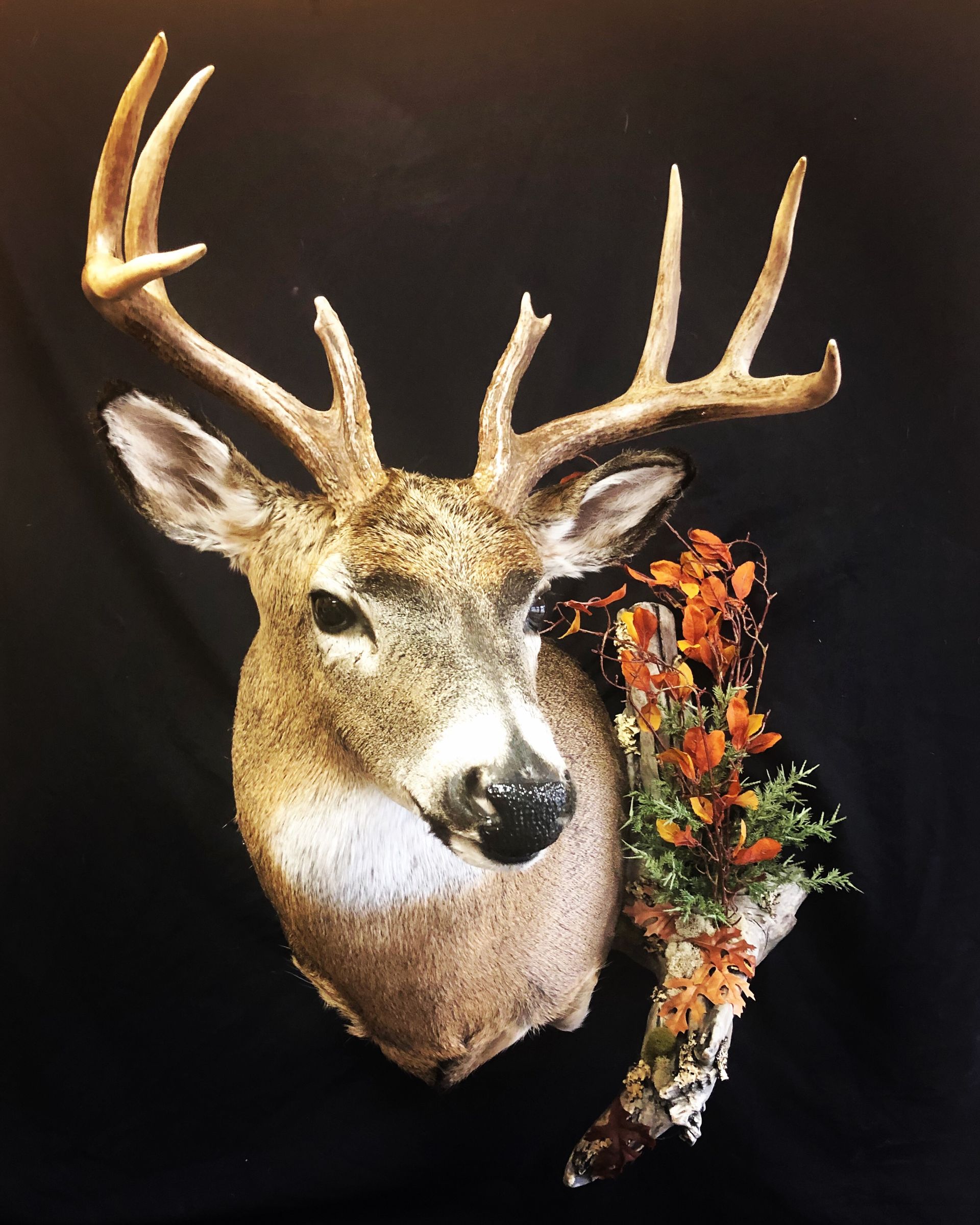 A deer head with antlers and flowers on it