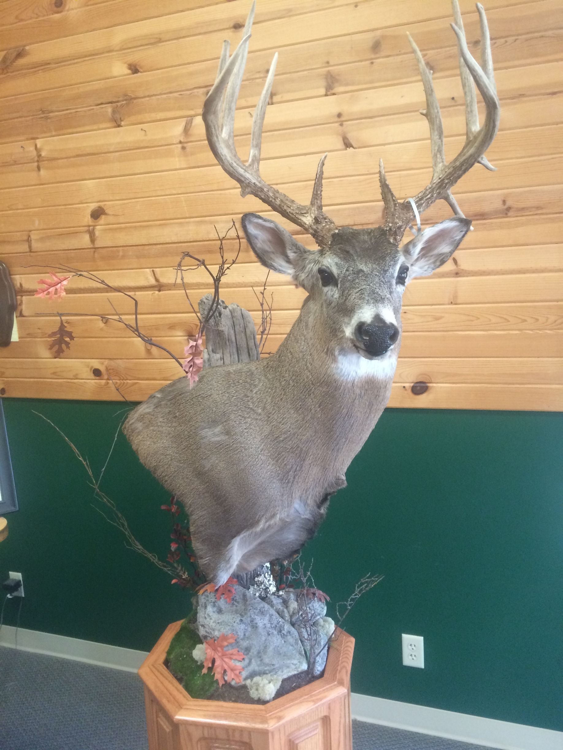 A stuffed deer is sitting on top of a wooden pedestal in a room.