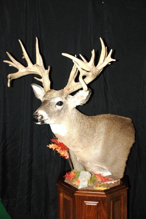 A stuffed deer is sitting on a wooden pedestal