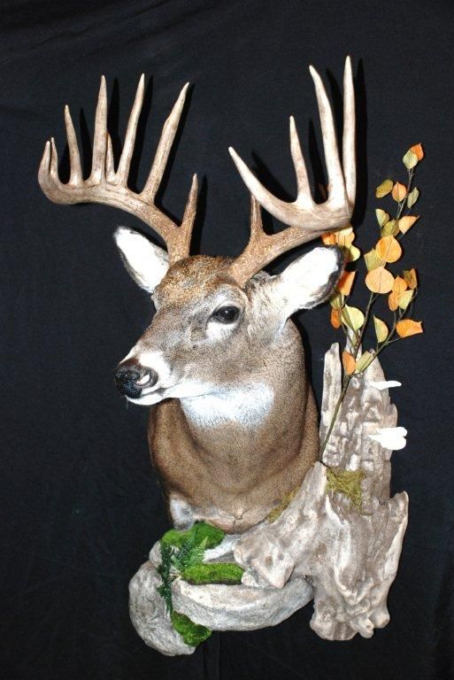 A deer head mounted on a tree stump
