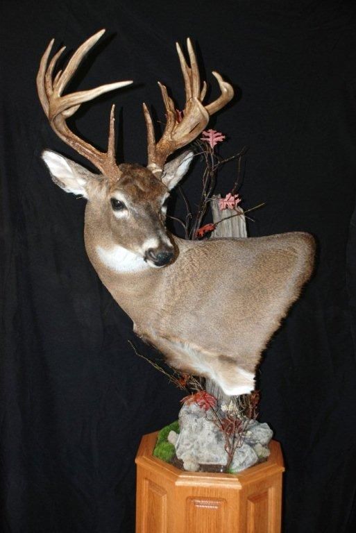 A deer is sitting on top of a wooden pedestal