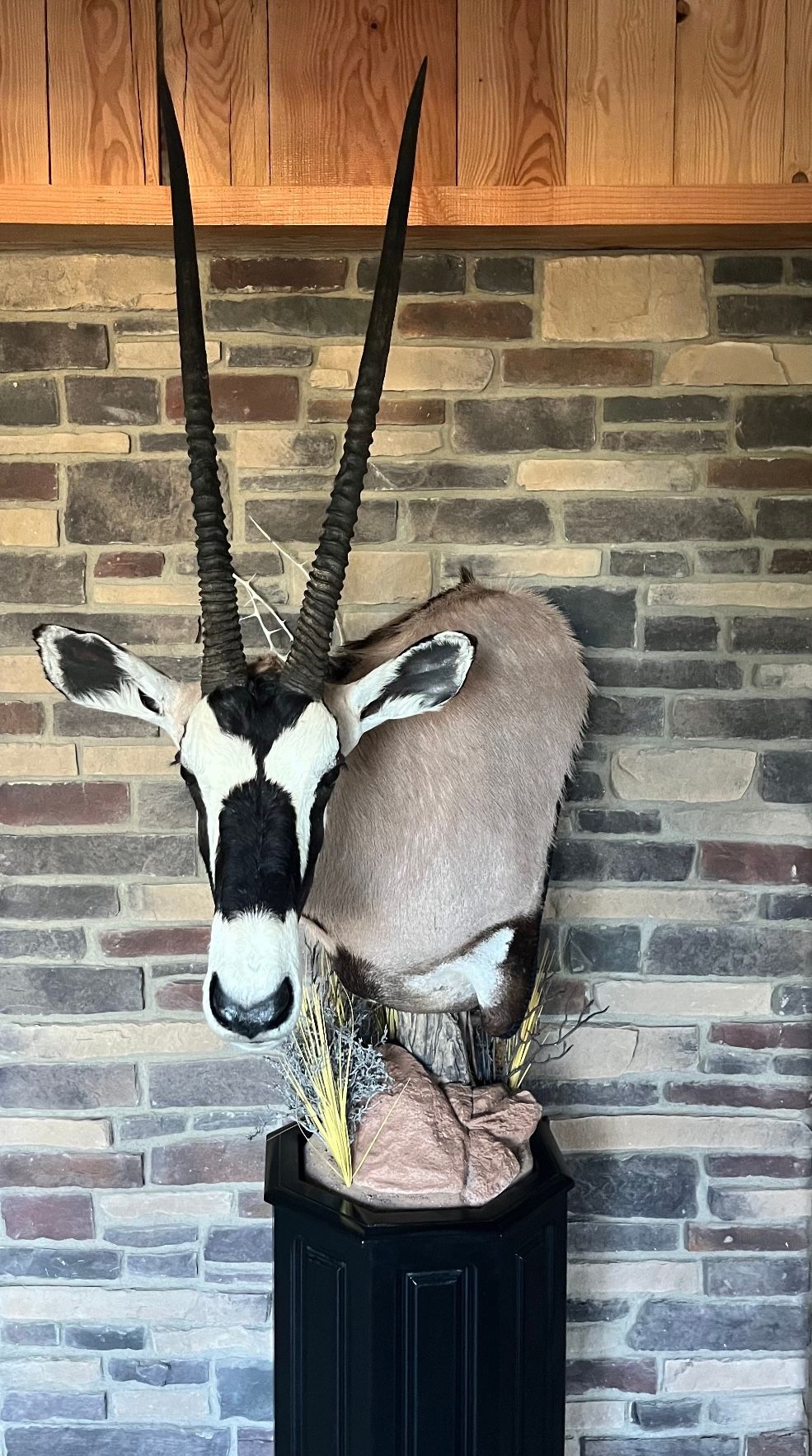 A stuffed exotic animal head is hanging on a brick wall.