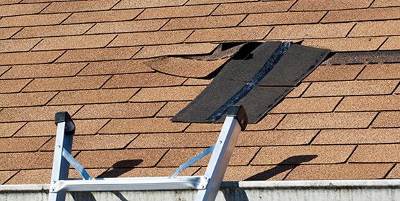 roof repair Edmonton