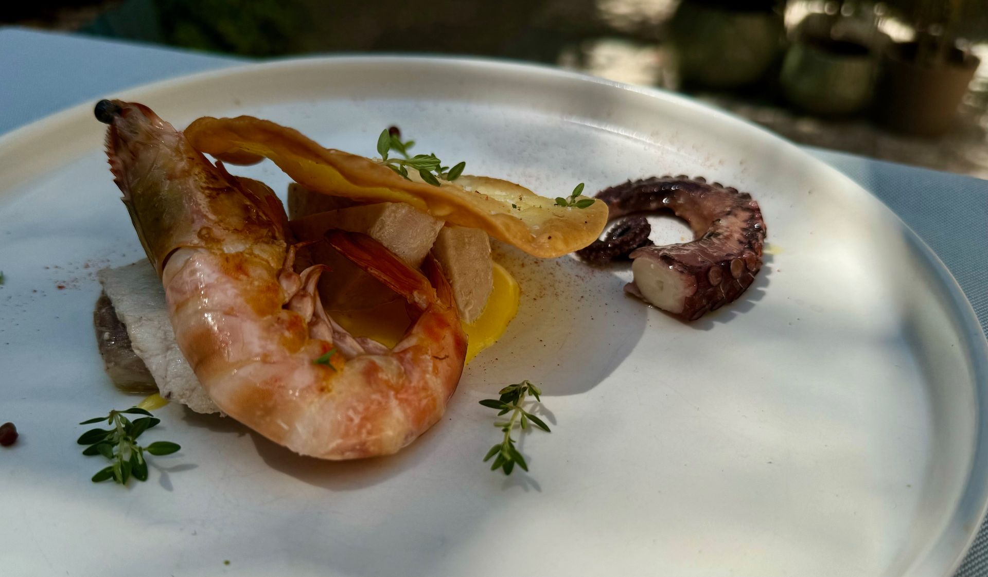 Michi ristorante©, pescato del giorno con slsa guacamole
Michi ristorante©, catch of the day with slsa guacamole