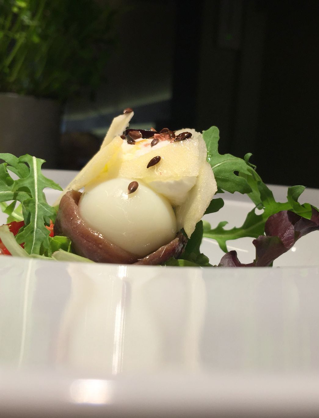 Michi ristorante©, uova di quaglia con alici del Cantabrico e panna montata
Michi ristorante©, quail eggs with anchovies from the Cantabrian and whipped cream