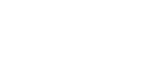 Buffalo Finances Logo