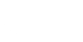 Buffalo Finances Logo