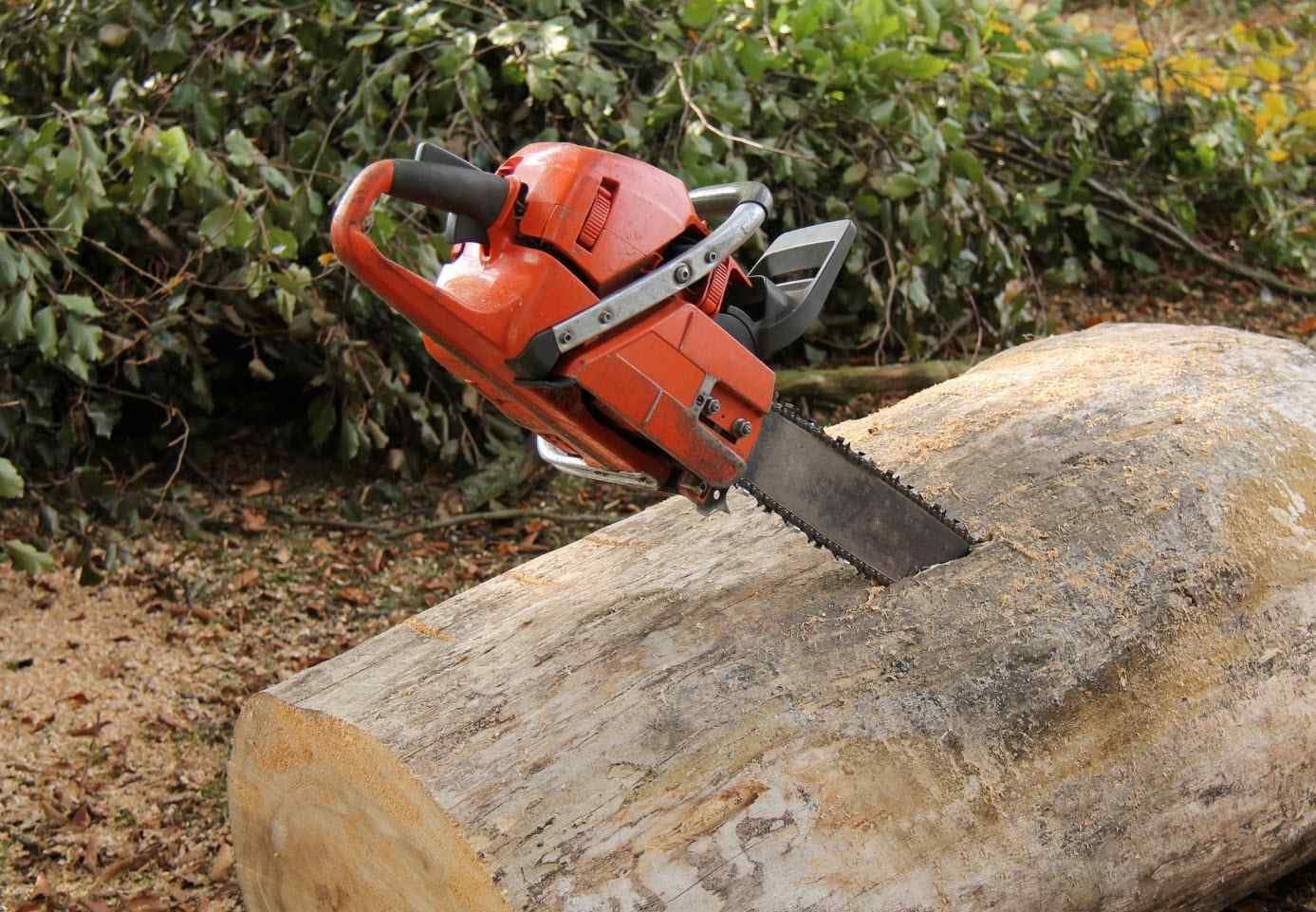 Orange chainsaw cutting into a light-colored log outdoors, with wood shavings visible.