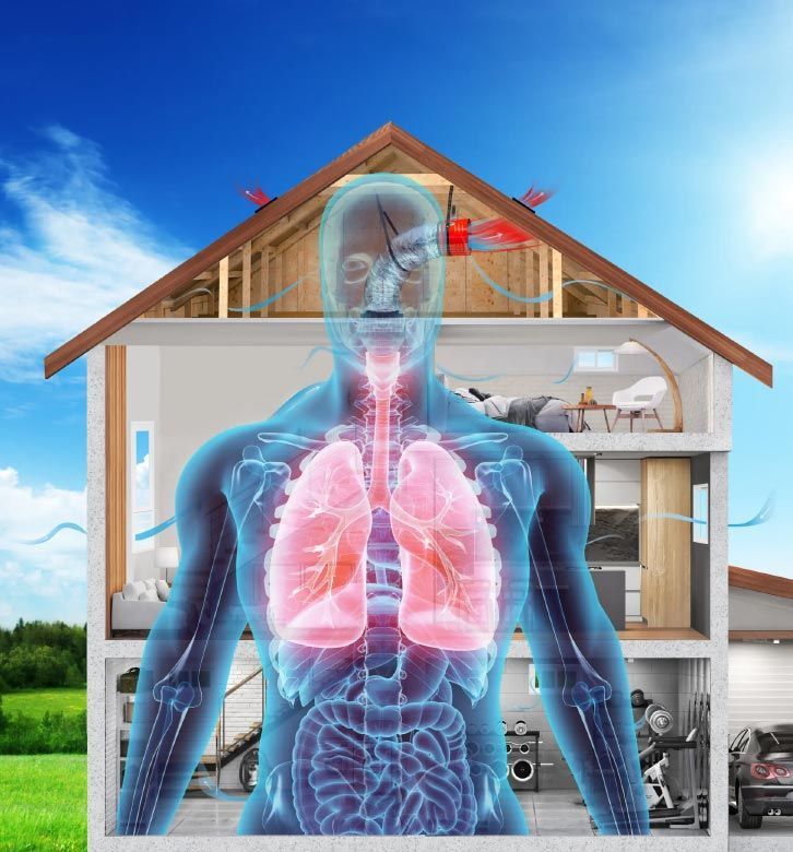 Improve Your Indoor Air Quality with A Whole House Fan