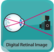 Digital Retinal Image