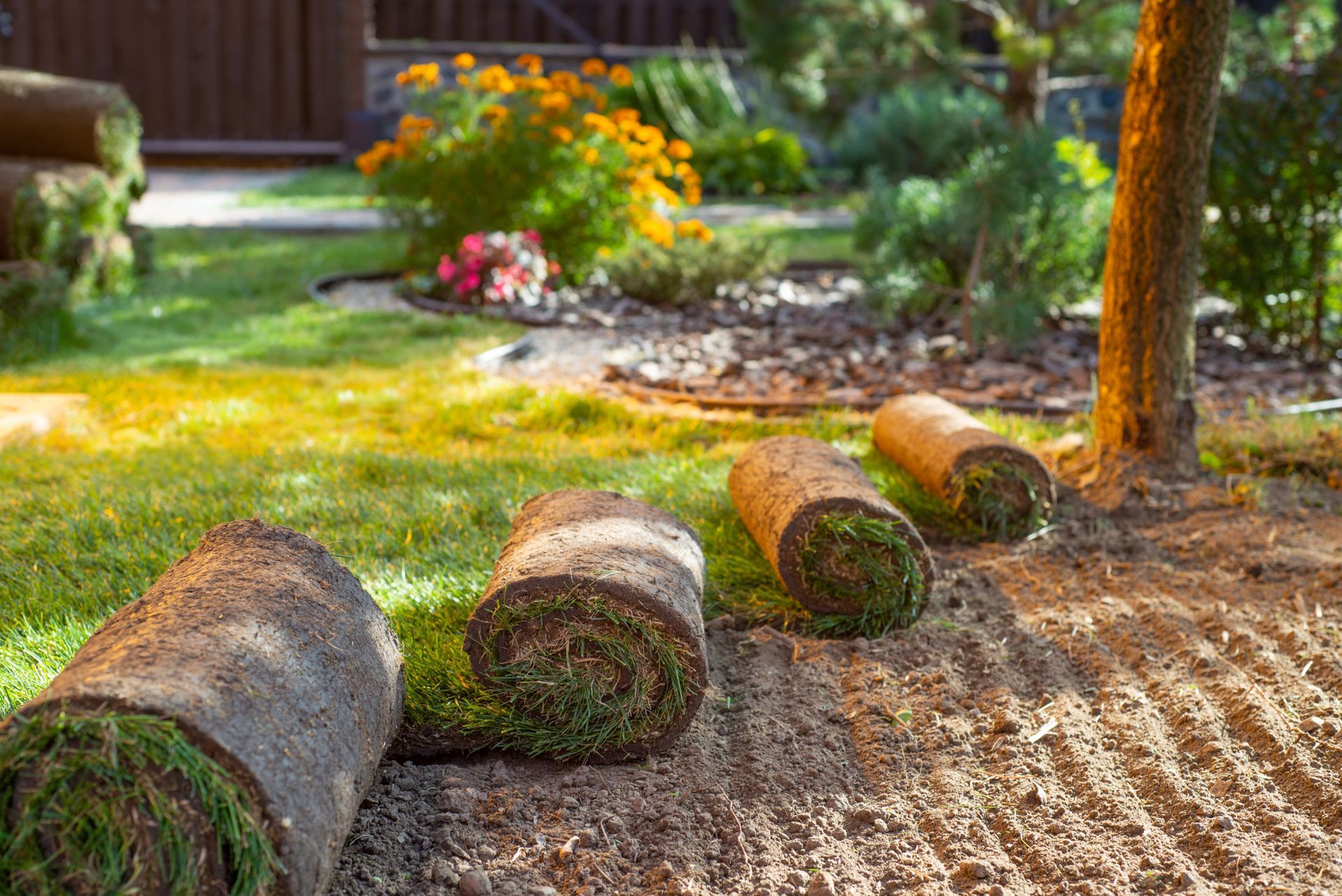 Three rolls of turf are sitting on the ground in a garden.