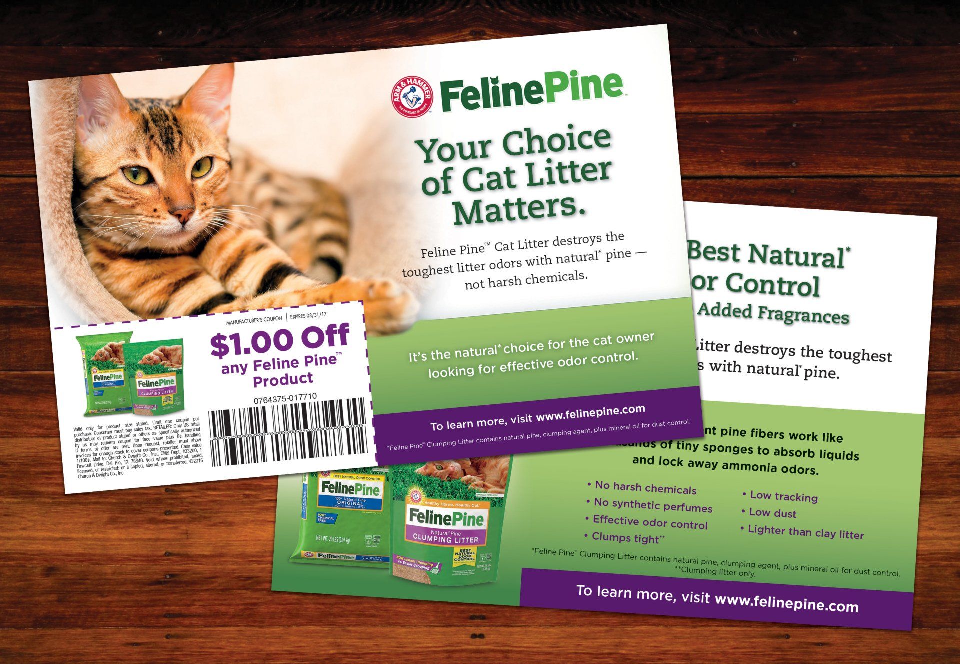 ARM & HAMMER™ Feline Pine™ Sampling Handout