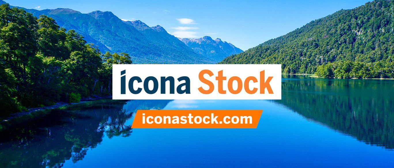 Icona Stock