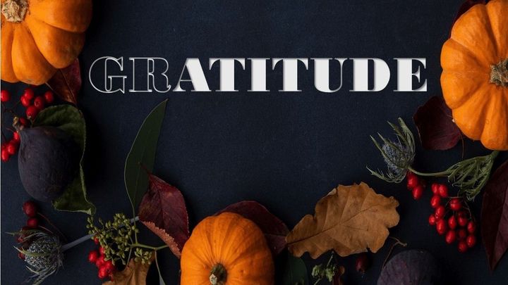 Gratitude - First of Seasonal of 2025