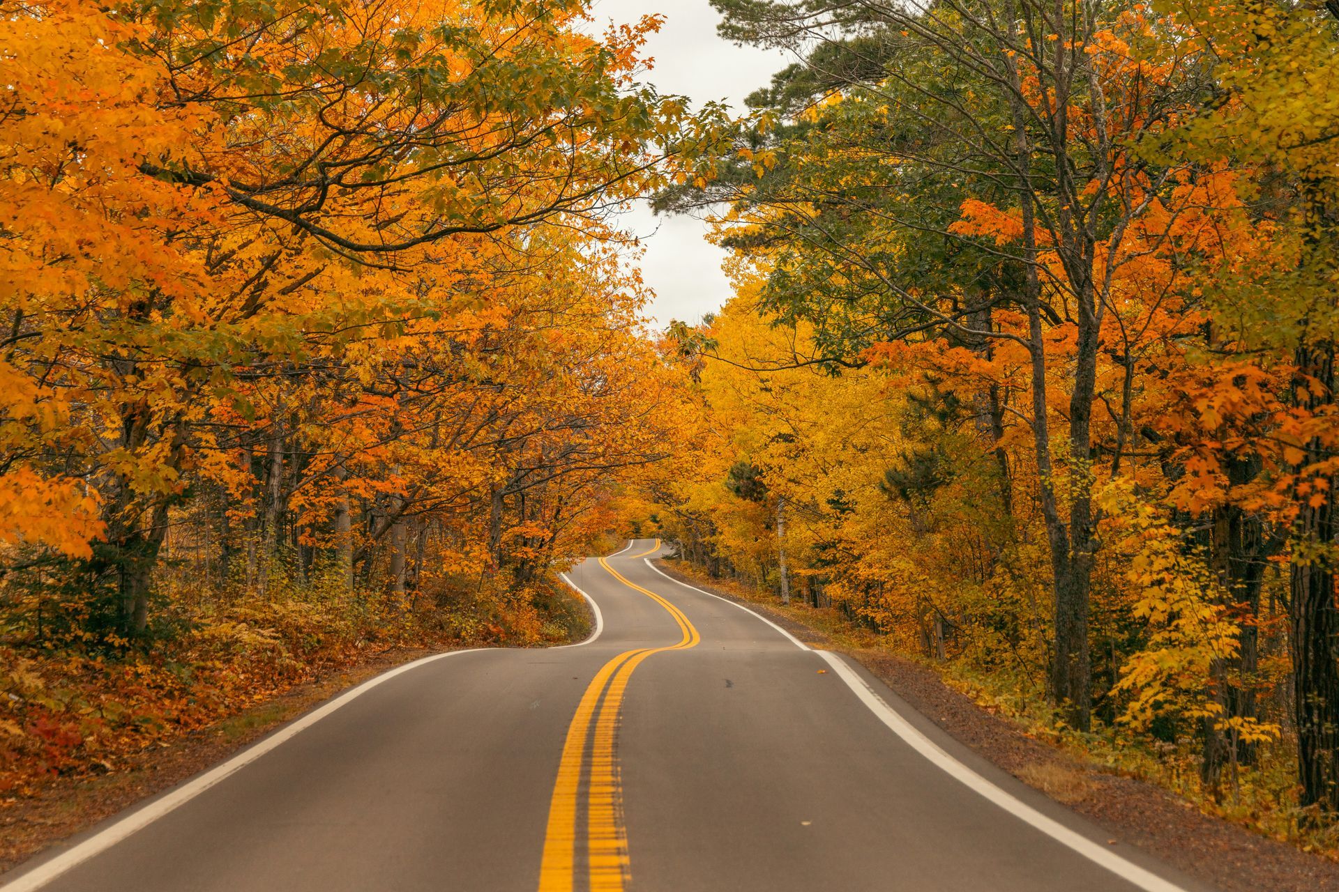 Winding road through autumn trees with yellow, orange, and green foliage.