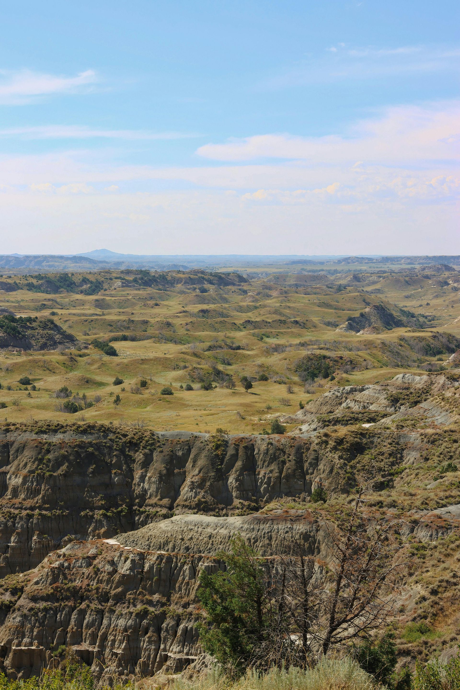 Woman with curly hair smiles while typing at a desk near a window and plant.